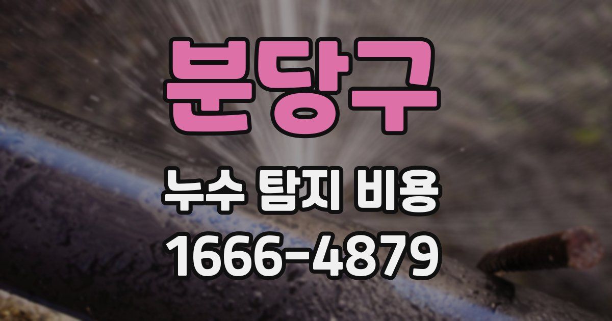 분당구 누수 탐지 비용