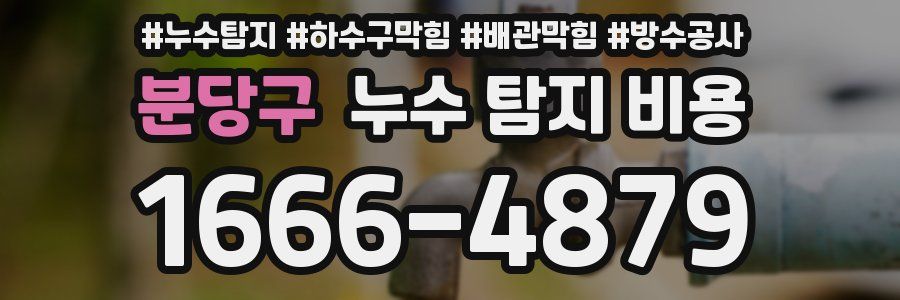 분당구 누수 탐지 비용
