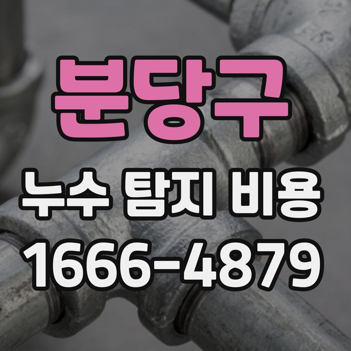 분당구 누수 탐지 비용