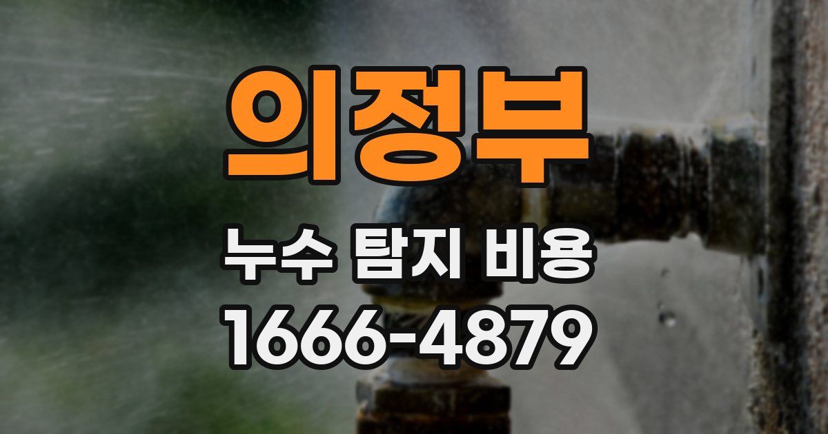 의정부 누수 탐지 비용