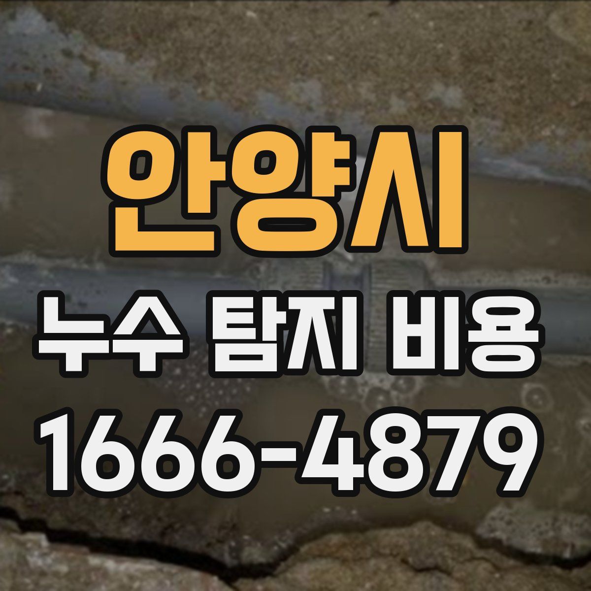 안양시 누수 탐지 비용