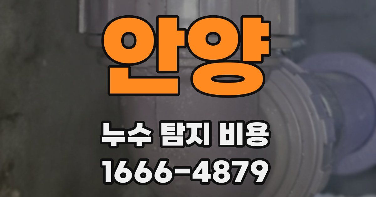 안양 누수 탐지 비용