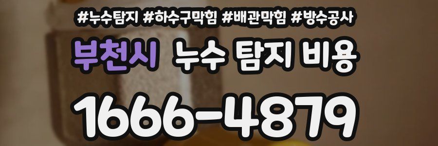 부천시 누수 탐지 비용