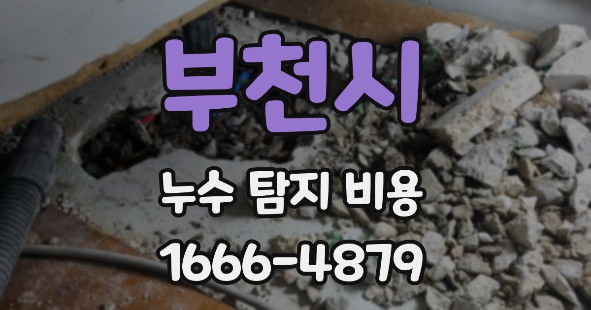 부천시 누수 탐지 비용