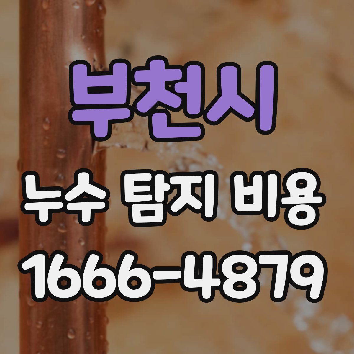부천시 누수 탐지 비용