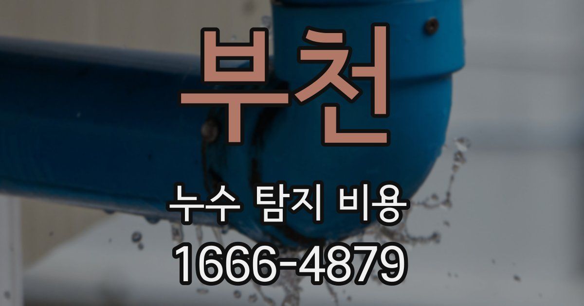 부천 누수 탐지 비용