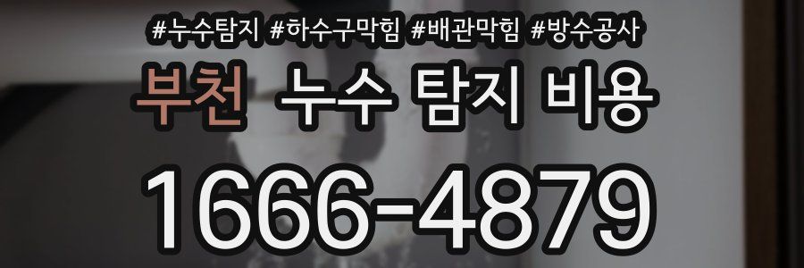 부천 누수 탐지 비용