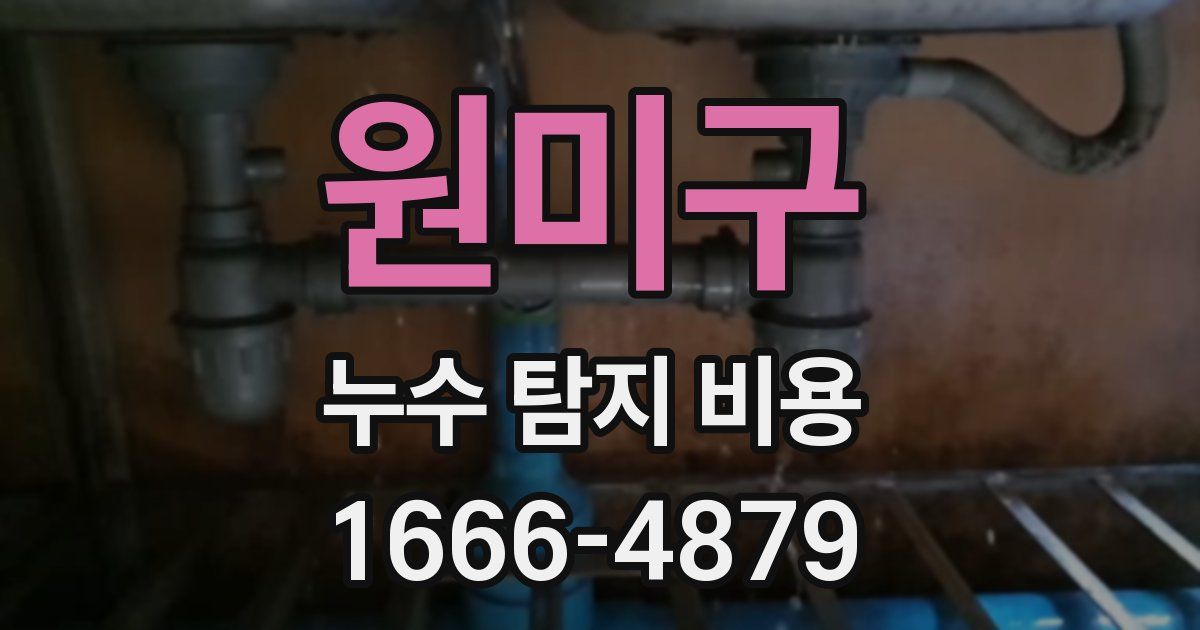 원미구 누수 탐지 비용