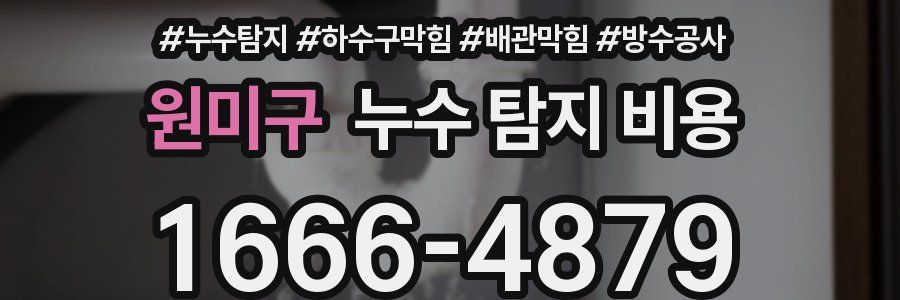원미구 누수 탐지 비용