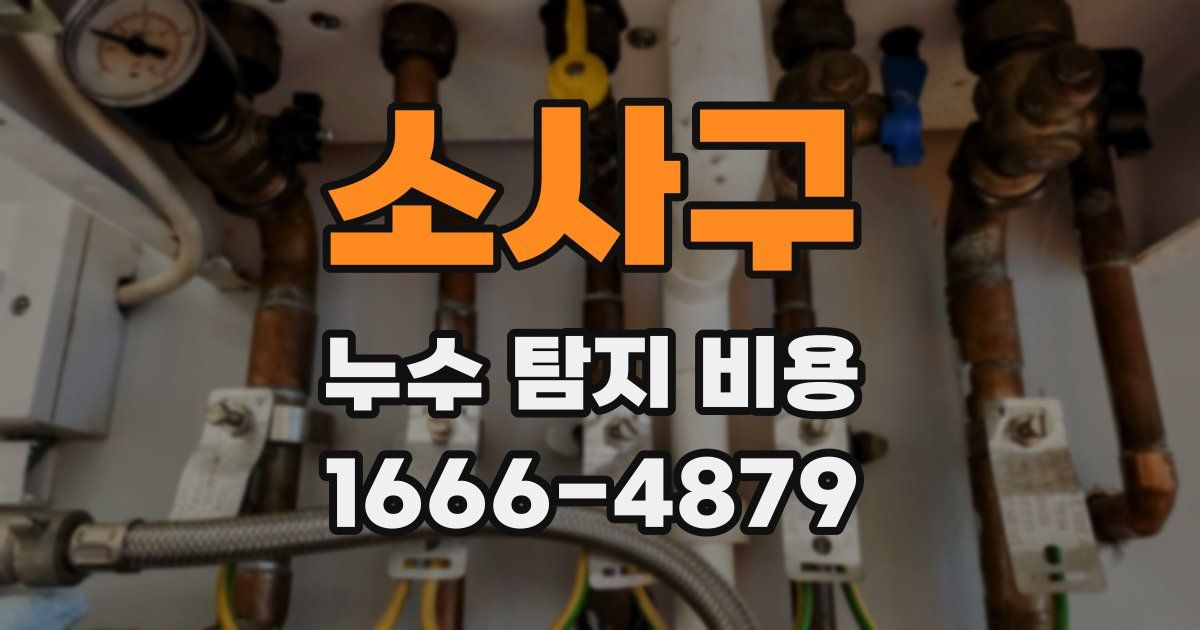 소사구 누수 탐지 비용
