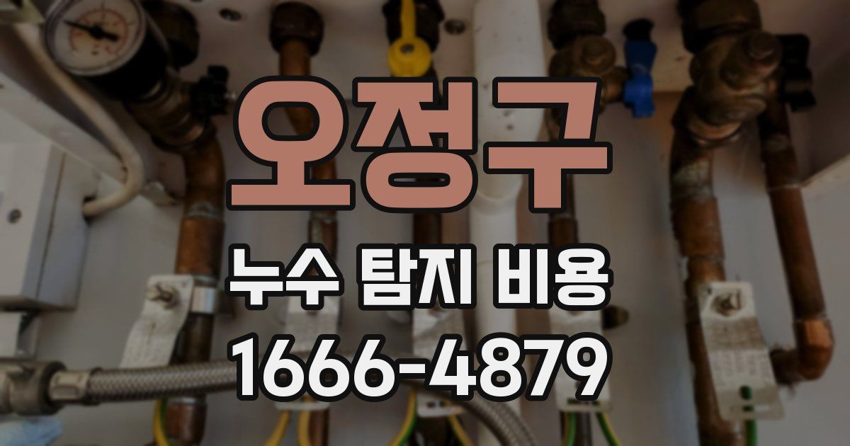 오정구 누수 탐지 비용