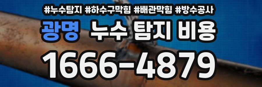 광명 누수 탐지 비용