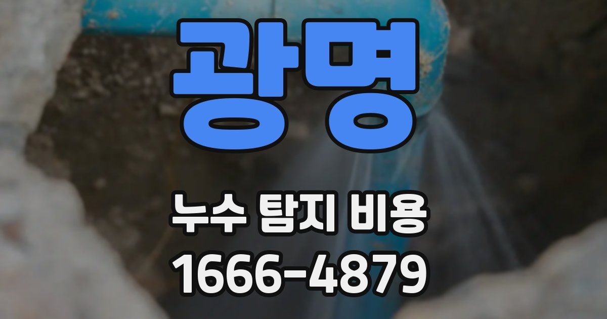 광명 누수 탐지 비용