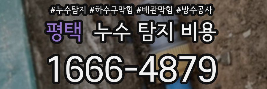 평택 누수 탐지 비용