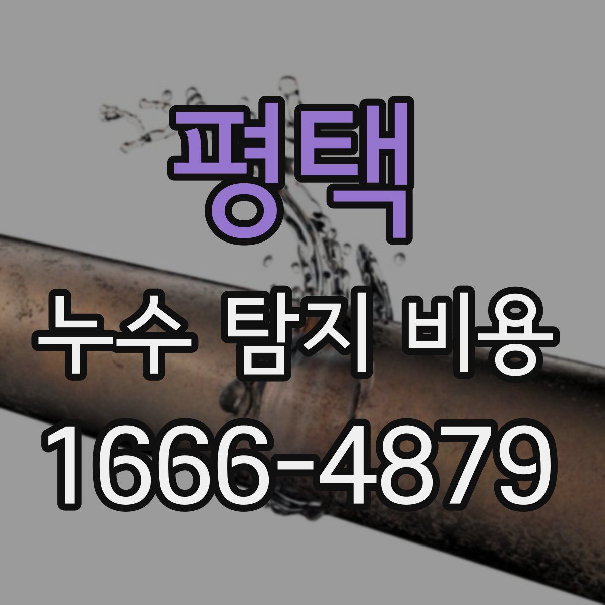 평택 누수 탐지 비용
