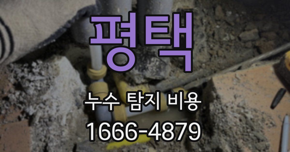 평택 누수 탐지 비용