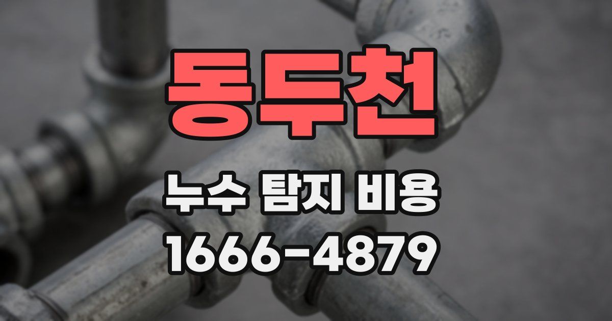 동두천 누수 탐지 비용