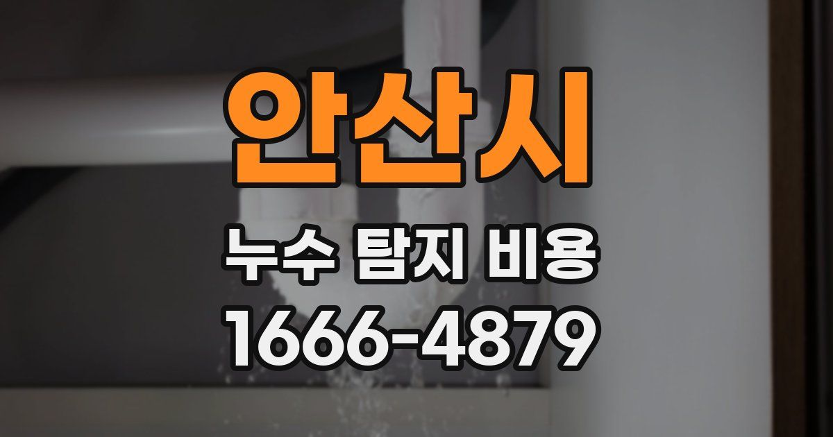 안산시 누수 탐지 비용
