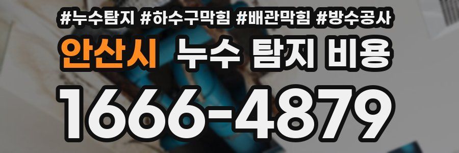 안산시 누수 탐지 비용