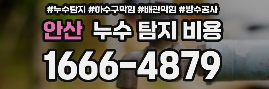 안산 누수 탐지 비용
