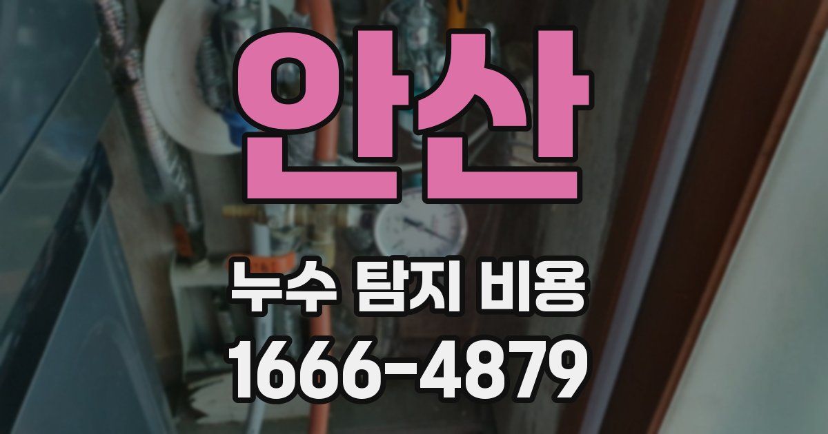 안산 누수 탐지 비용