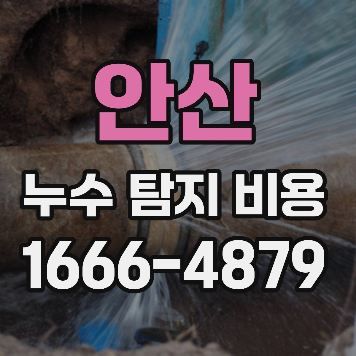 안산 누수 탐지 비용