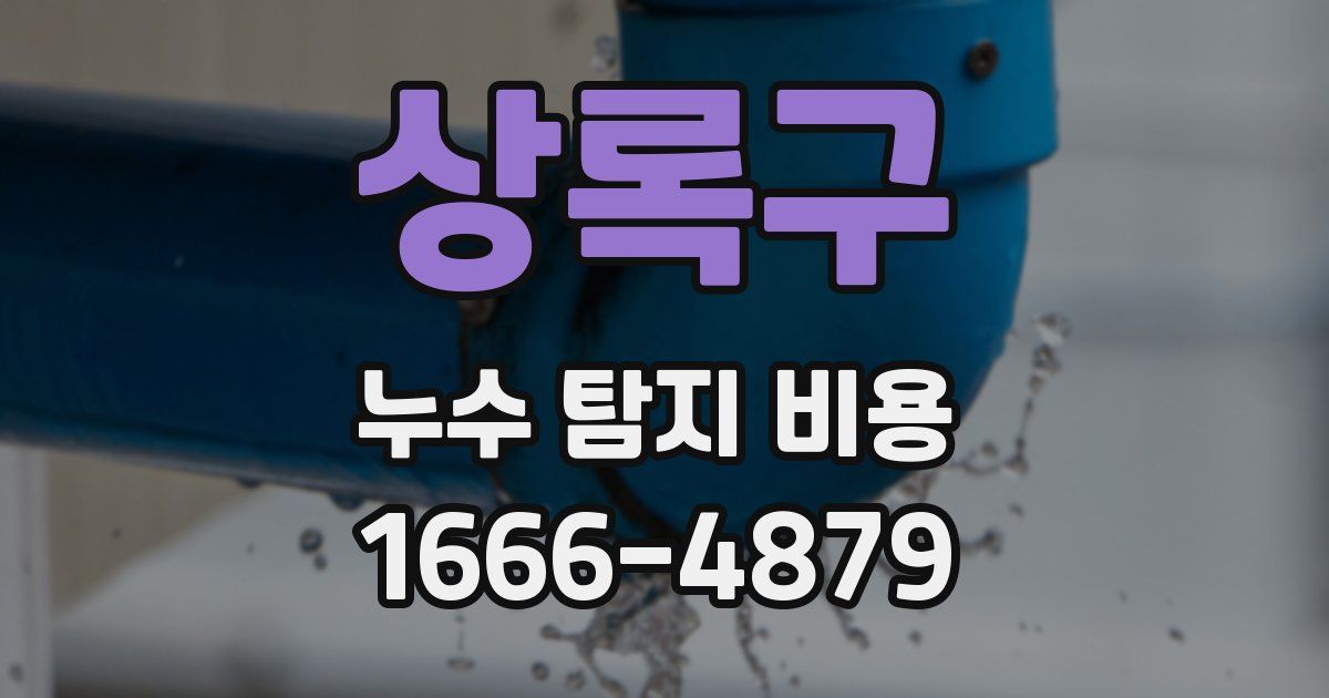 상록구 누수 탐지 비용