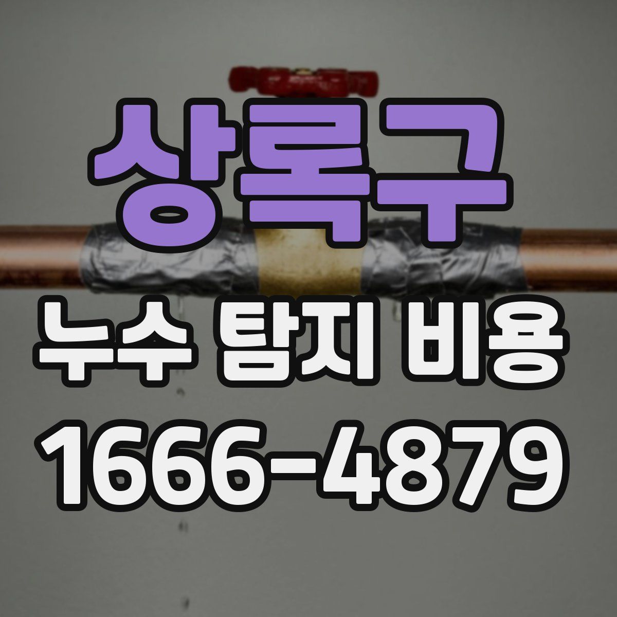 상록구 누수 탐지 비용