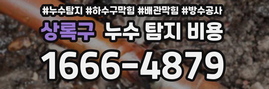 상록구 누수 탐지 비용