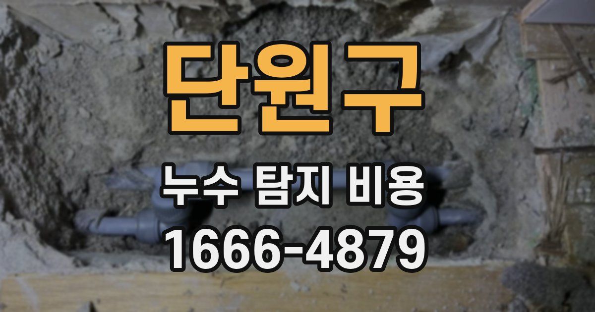 단원구 누수 탐지 비용