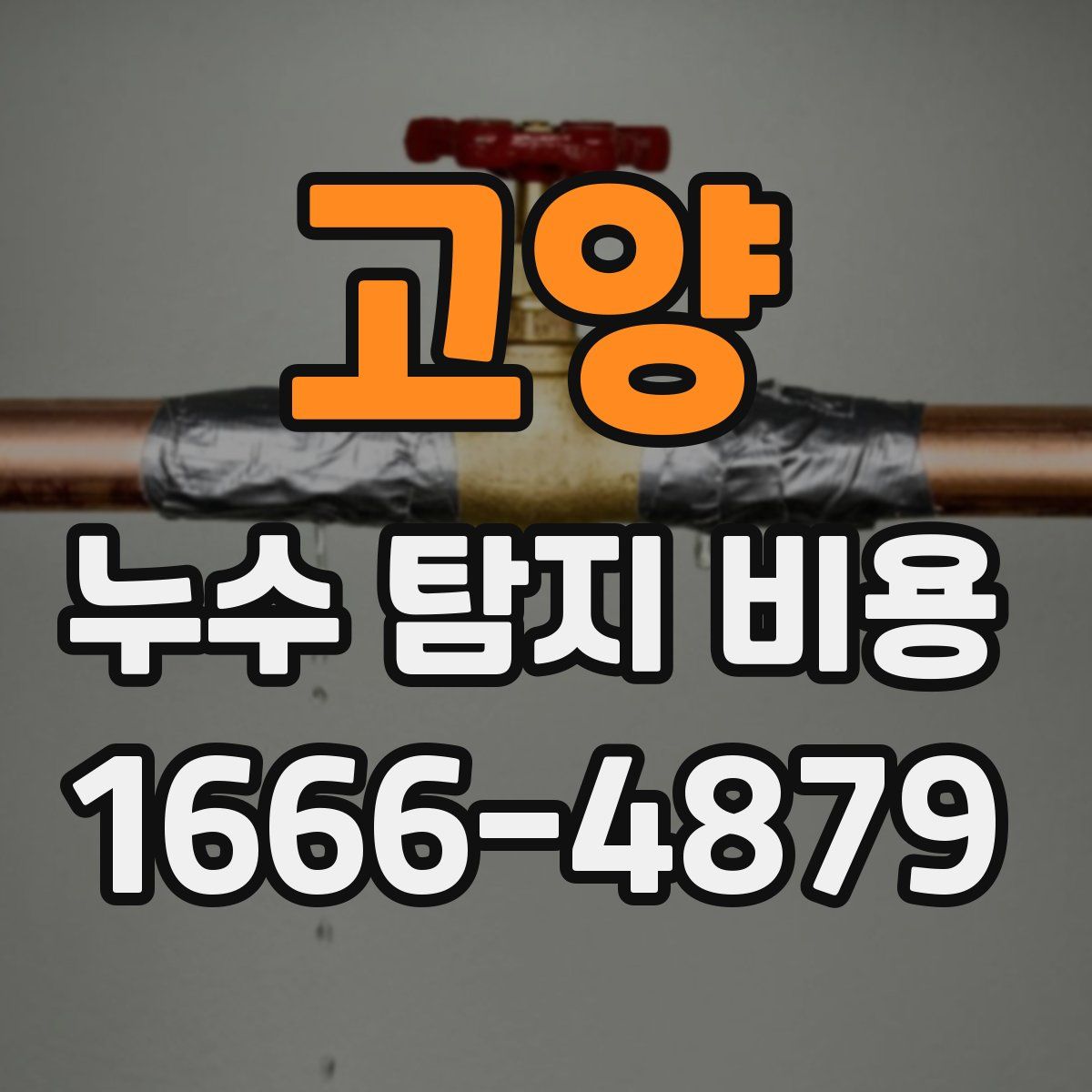 고양 누수 탐지 비용