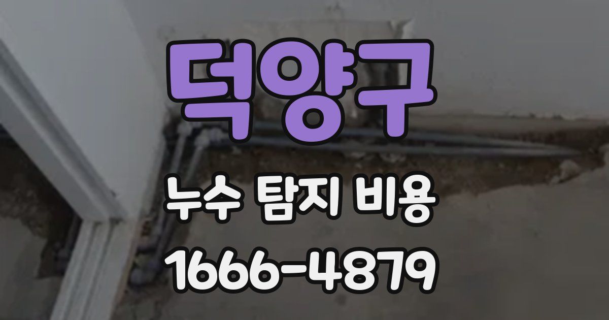덕양구 누수 탐지 비용