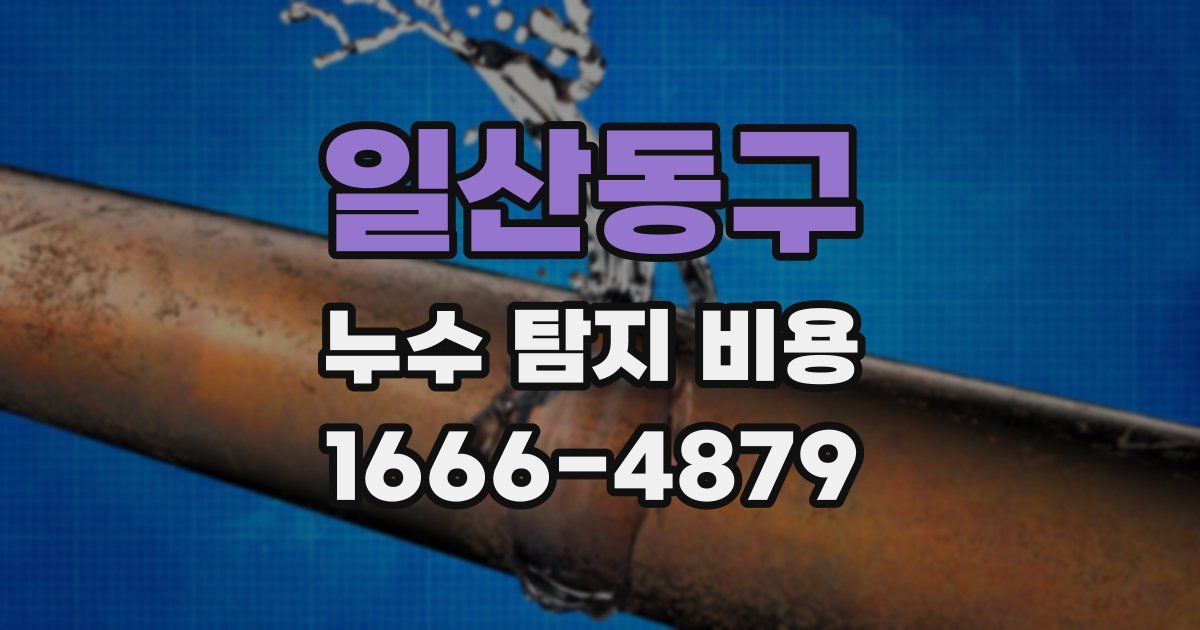 일산동구 누수 탐지 비용