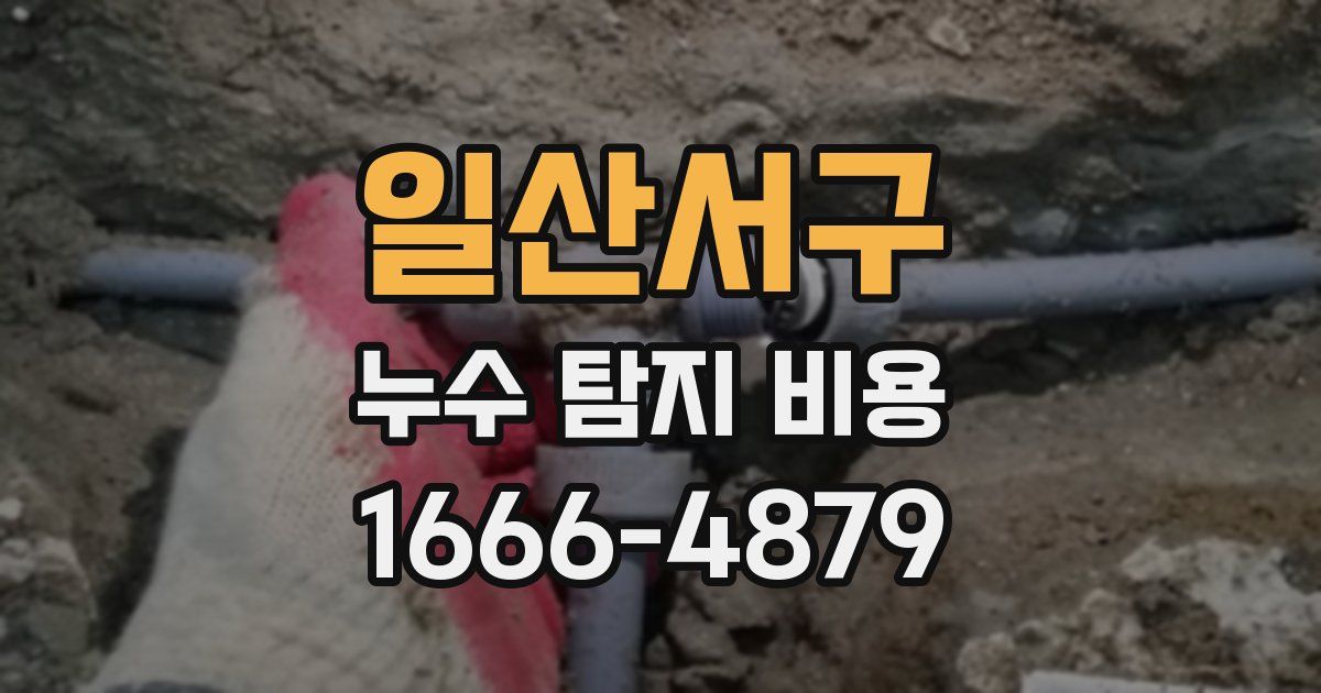 일산서구 누수 탐지 비용