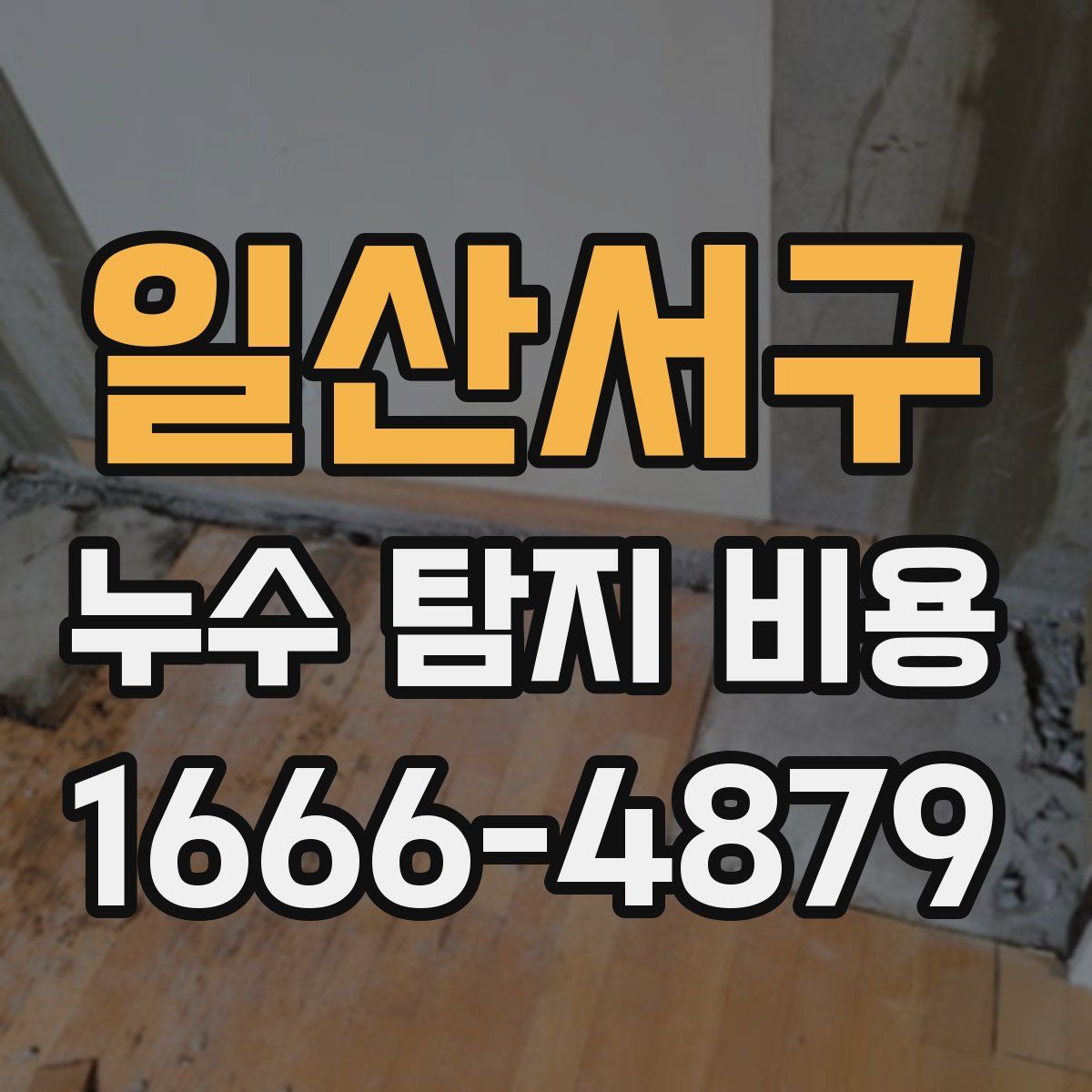 일산서구 누수 탐지 비용