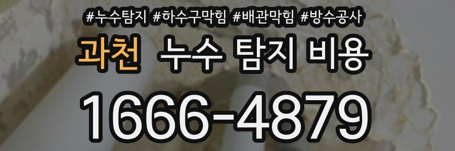 과천 누수 탐지 비용