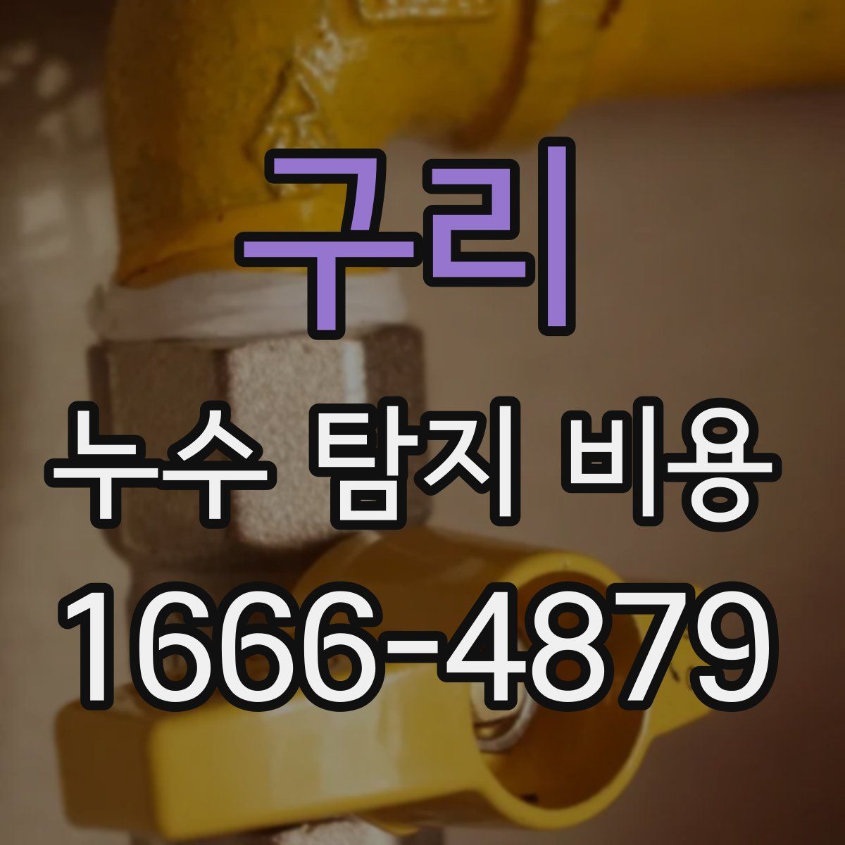 구리 누수 탐지 비용