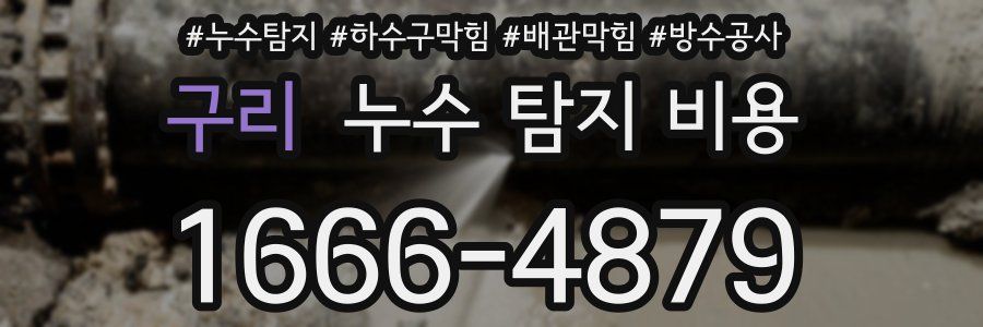 구리 누수 탐지 비용