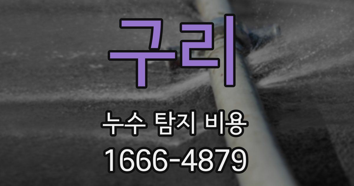 구리 누수 탐지 비용