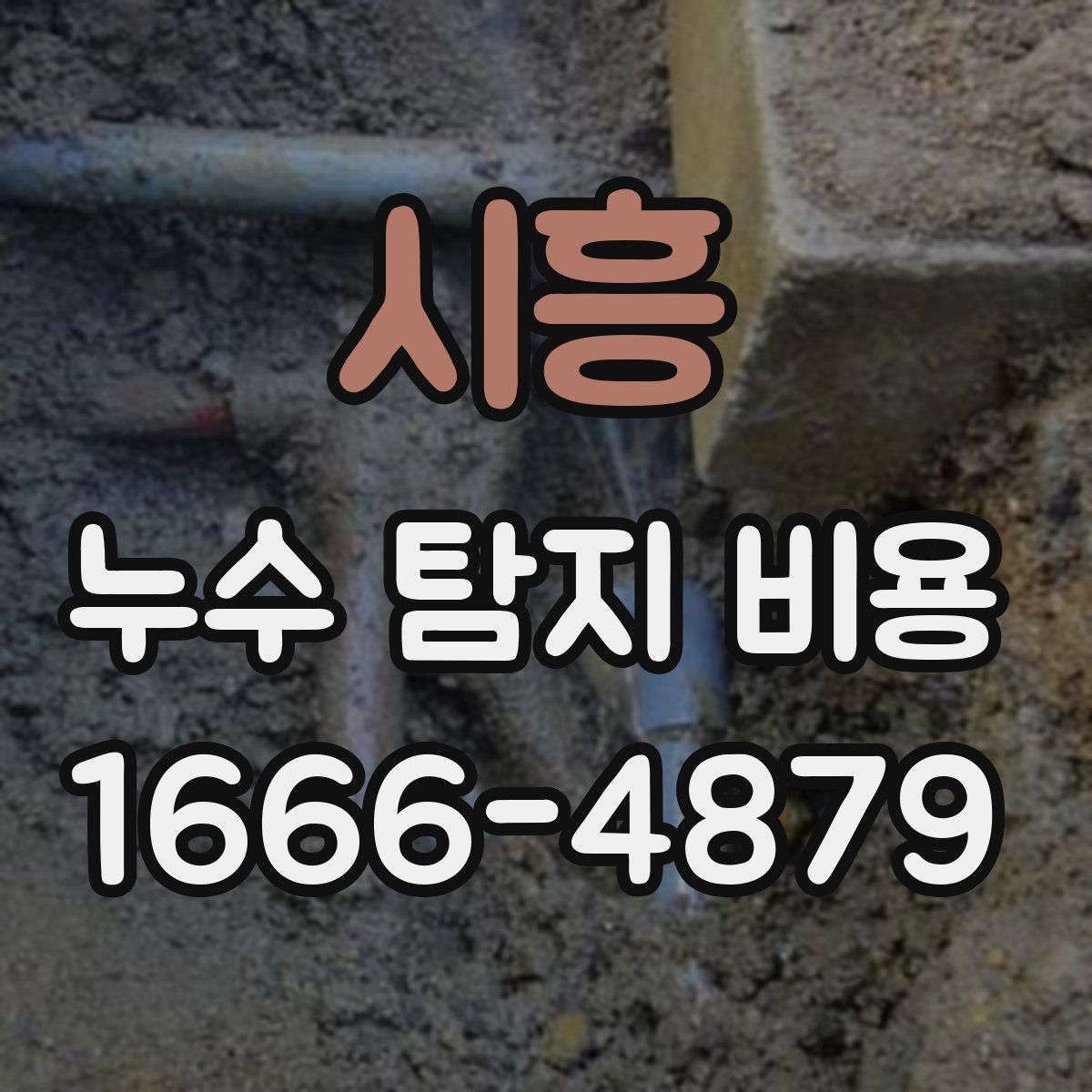 시흥 누수 탐지 비용