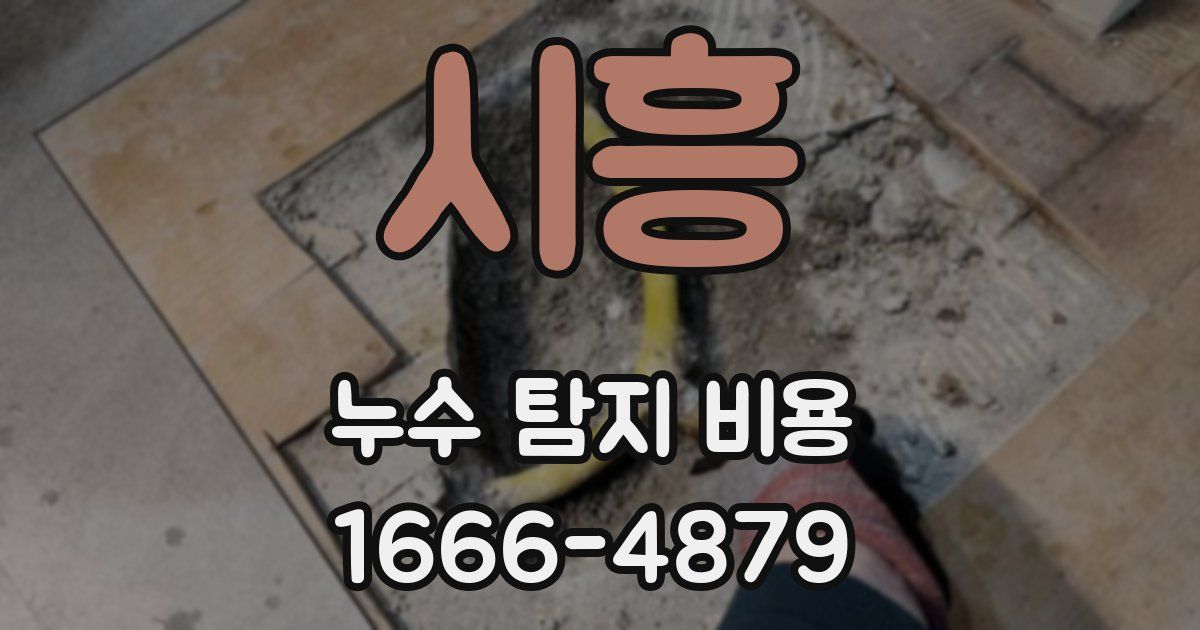 시흥 누수 탐지 비용