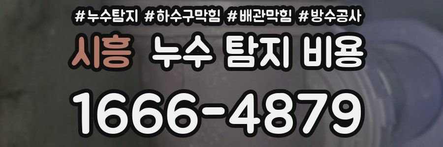시흥 누수 탐지 비용
