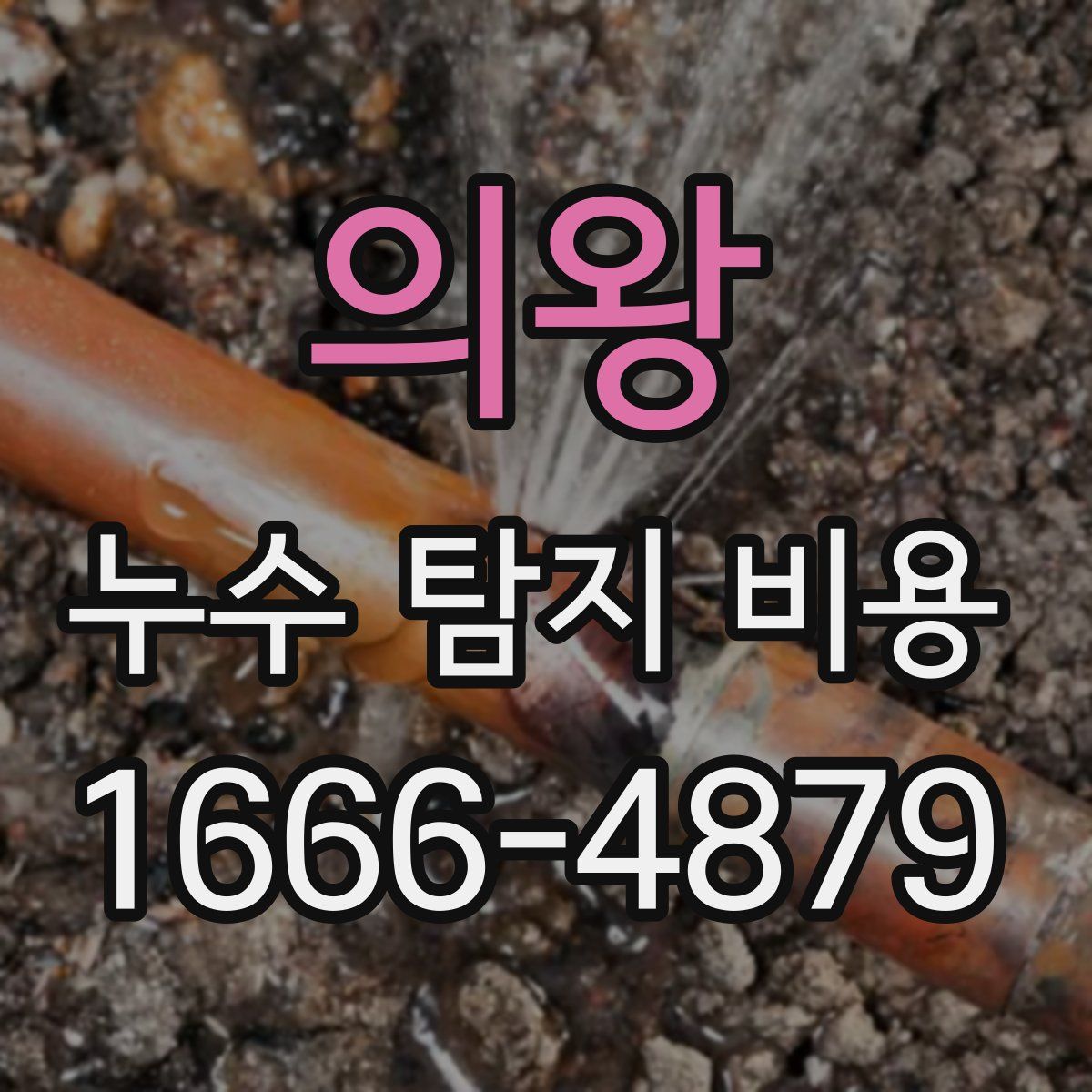 의왕 누수 탐지 비용