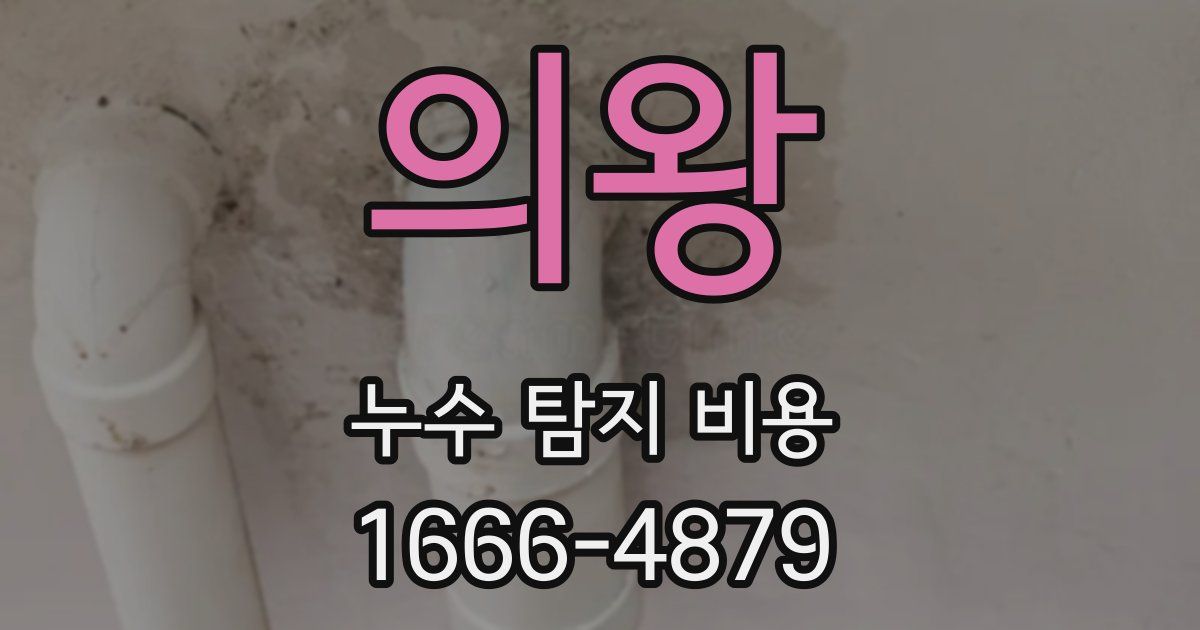 의왕 누수 탐지 비용