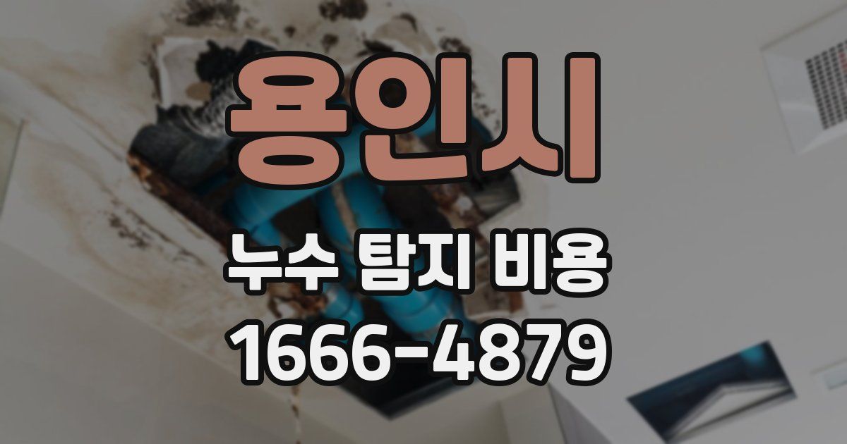 용인시 누수 탐지 비용