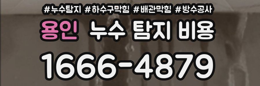 용인 누수 탐지 비용