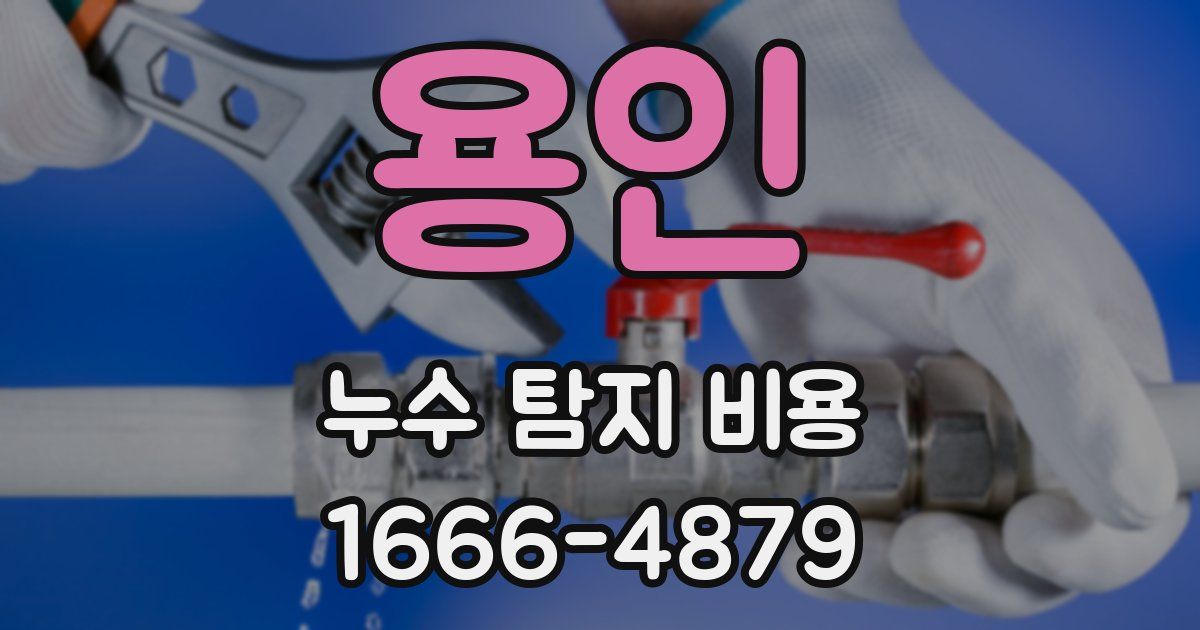 용인 누수 탐지 비용