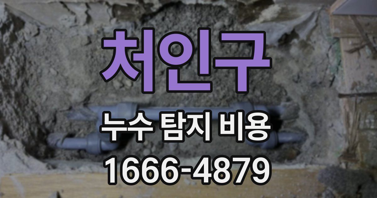 처인구 누수 탐지 비용