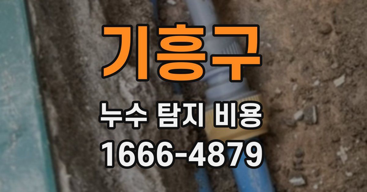 기흥구 누수 탐지 비용