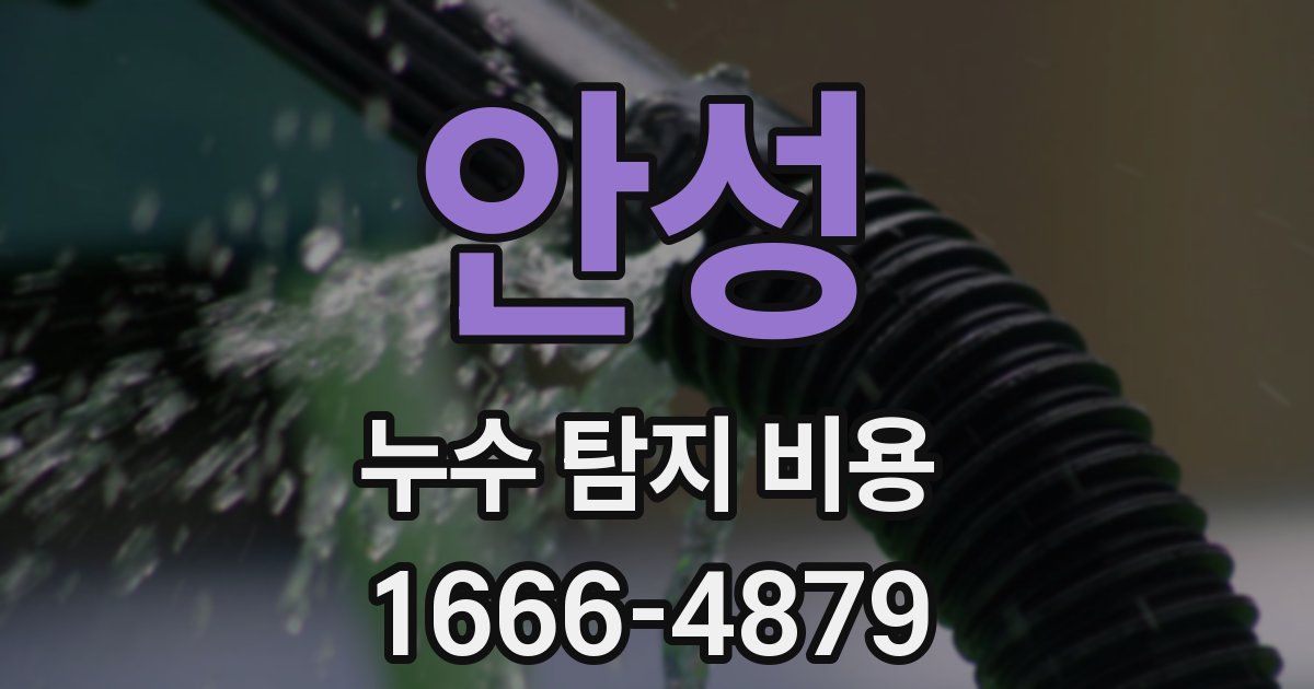 안성 누수 탐지 비용